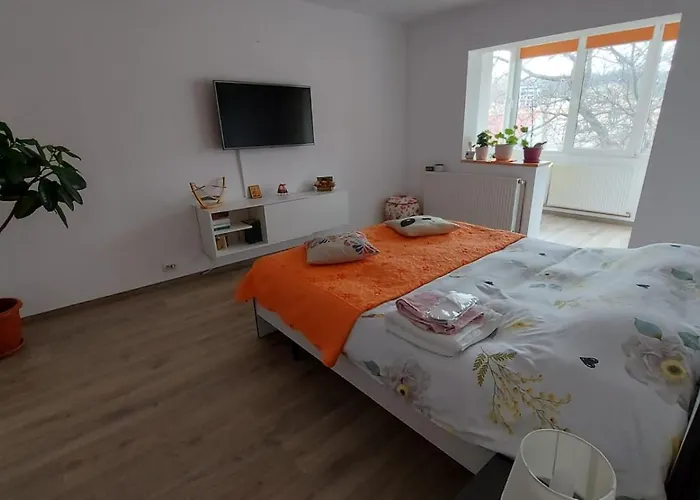 Apartament spatios in Brasov